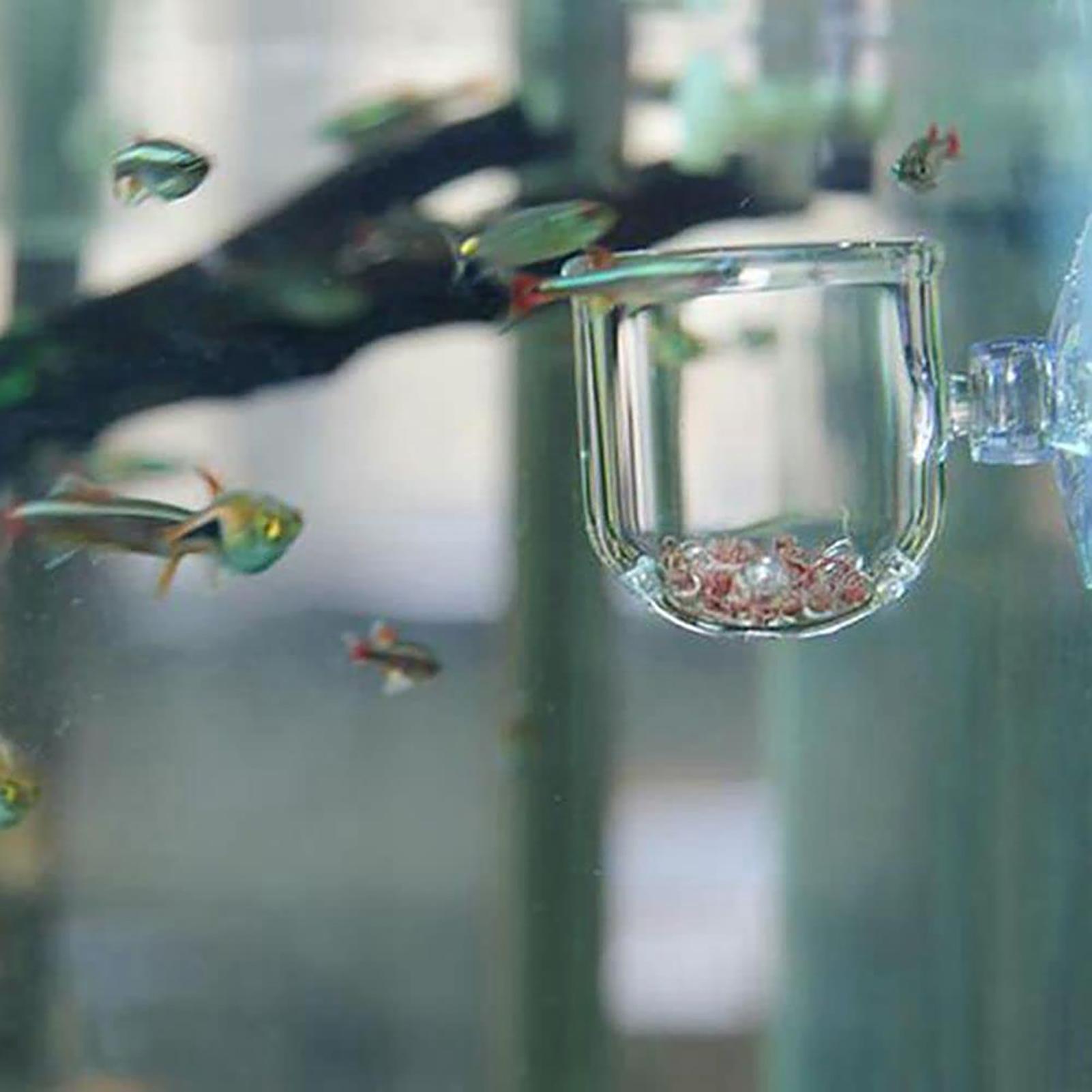 Acrylic Aquarium Plant Pots Aq - Aquarium Fish Beautiful ulasan dan harga