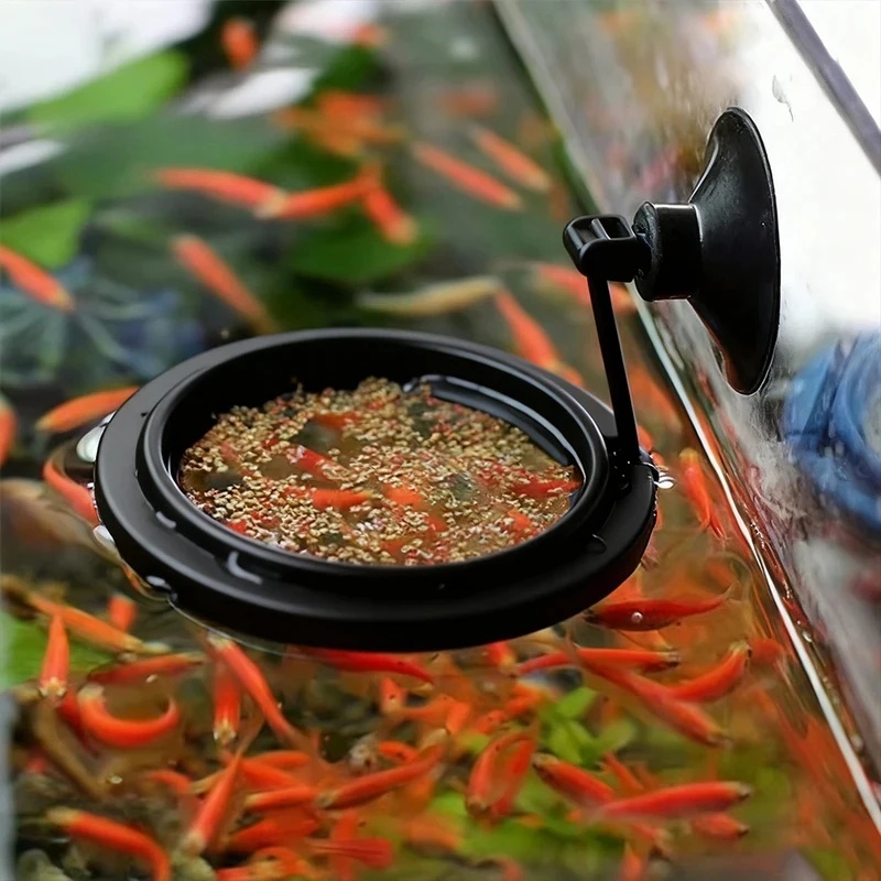 1/3pcs Aquarium Fish Feeding R - Aquarium Fish Escape ulasan dan harga