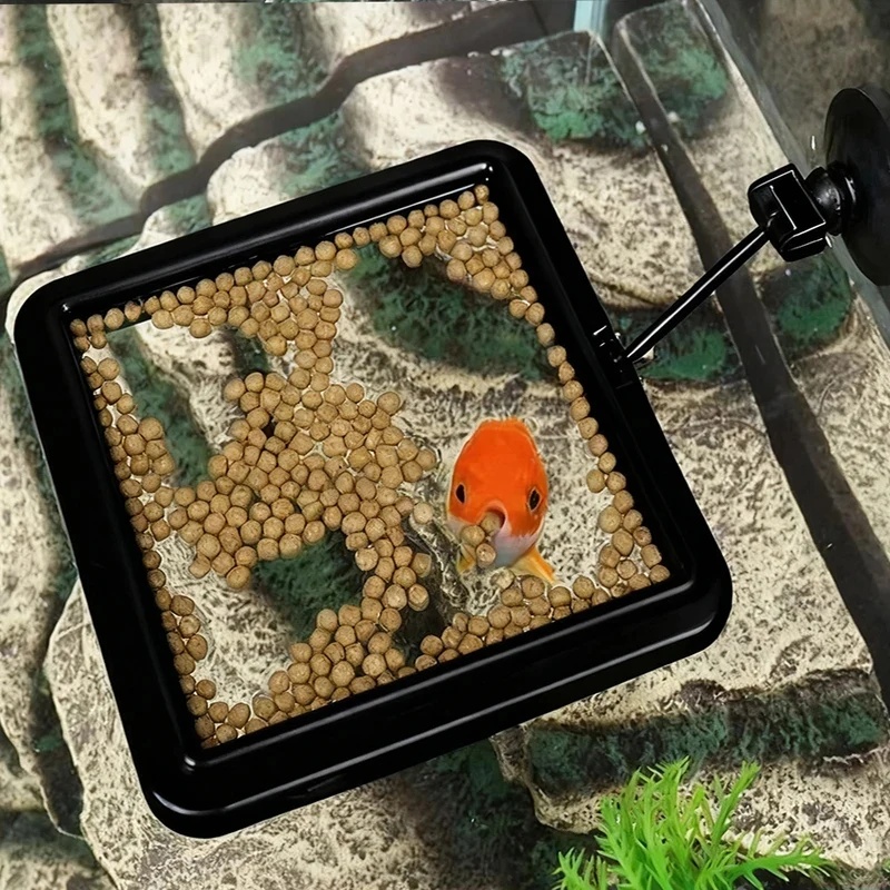 1/3pcs Aquarium Fish Feeding R - Aquarium Fish Escape ulasan dan harga