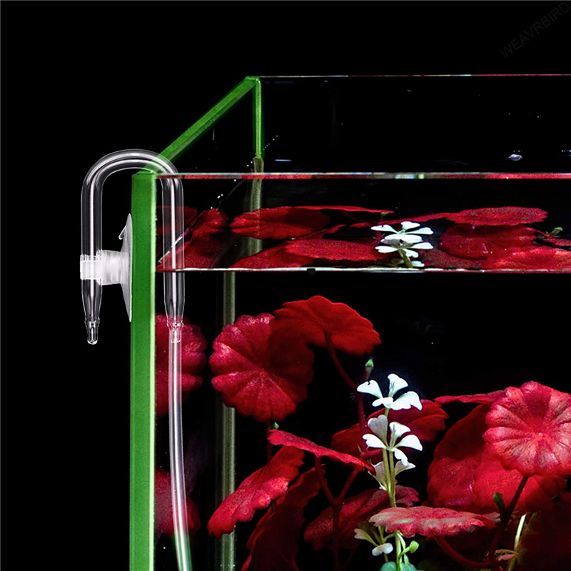 Aquarium U Shaped Air Pipe Con - Aquarium Fish Youtube ulasan dan harga