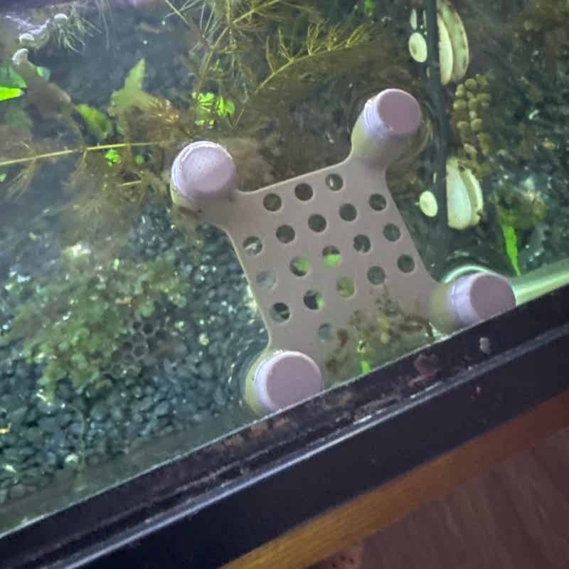 Betta Fish Rest Bed Suction Cu - Aquarium Fish Escape ulasan dan harga