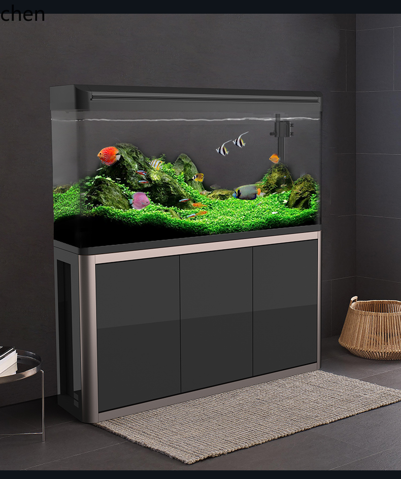 CZ  Medium-sized Living Room F - Aquarium Fish Goldfish ulasan dan harga