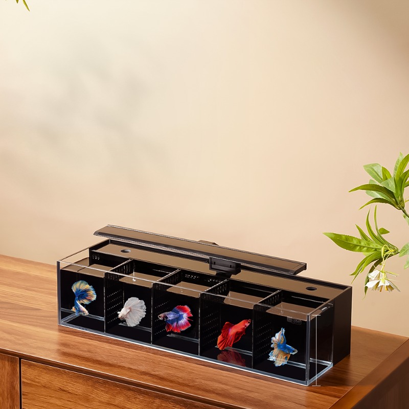 Douyu aquarium multi-grid comb - Aquarium Fish Beautiful ulasan dan harga