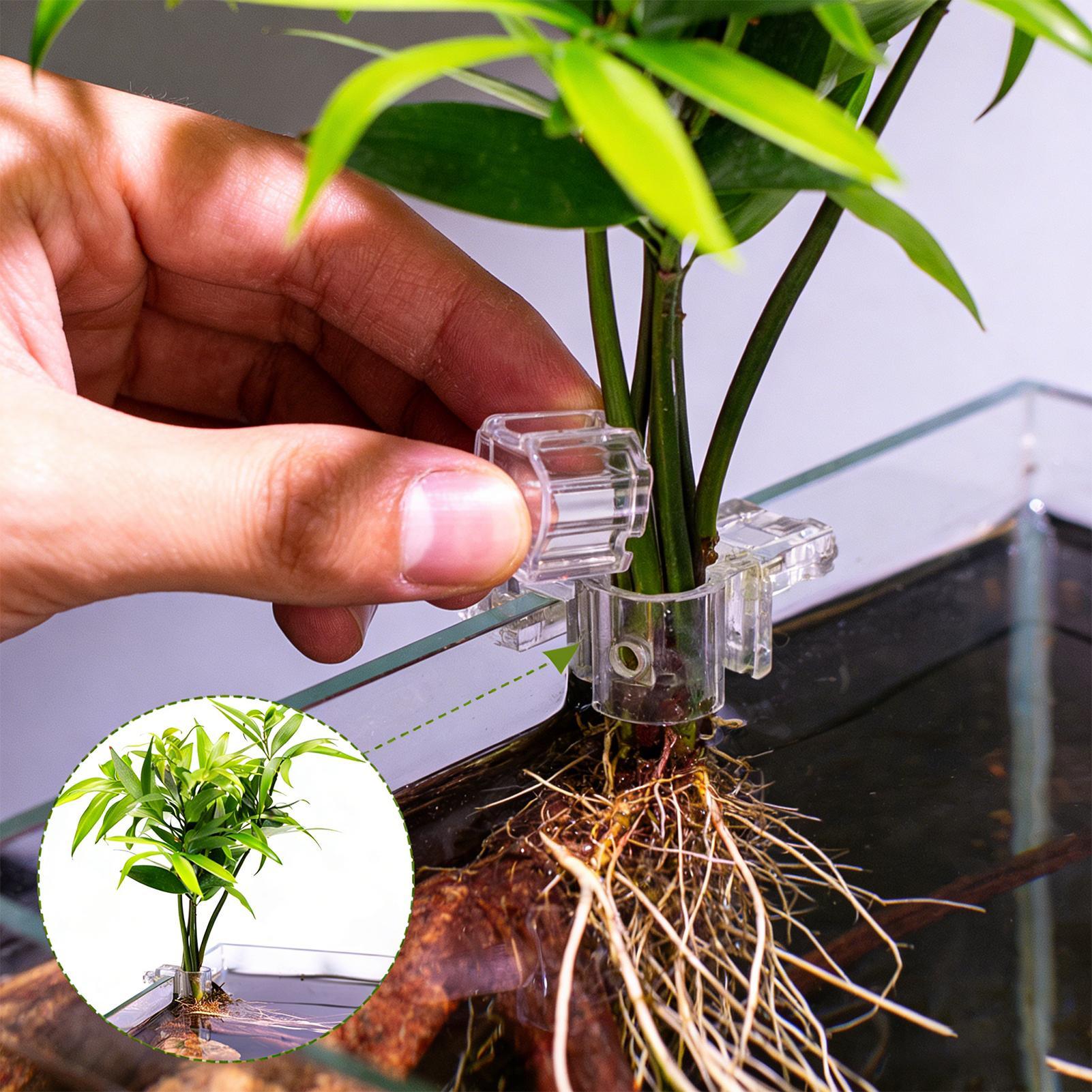 Mini Fish Tank Planter Pot 6Pc - Aquarium Fish Elevator ulasan dan harga