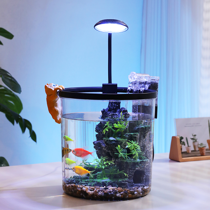 Compact Round Goldfish Bowl -  - Aquarium Fish Goldfish ulasan dan harga