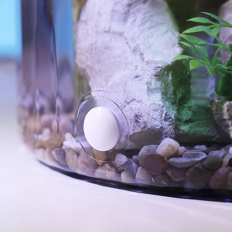 Compact Round Goldfish Bowl -  - Aquarium Fish Goldfish ulasan dan harga