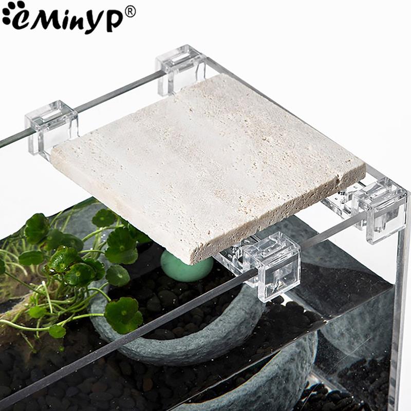 4Pcs Fish Tank Acrylic Clips f - Aquarium Fish Elevator ulasan dan harga