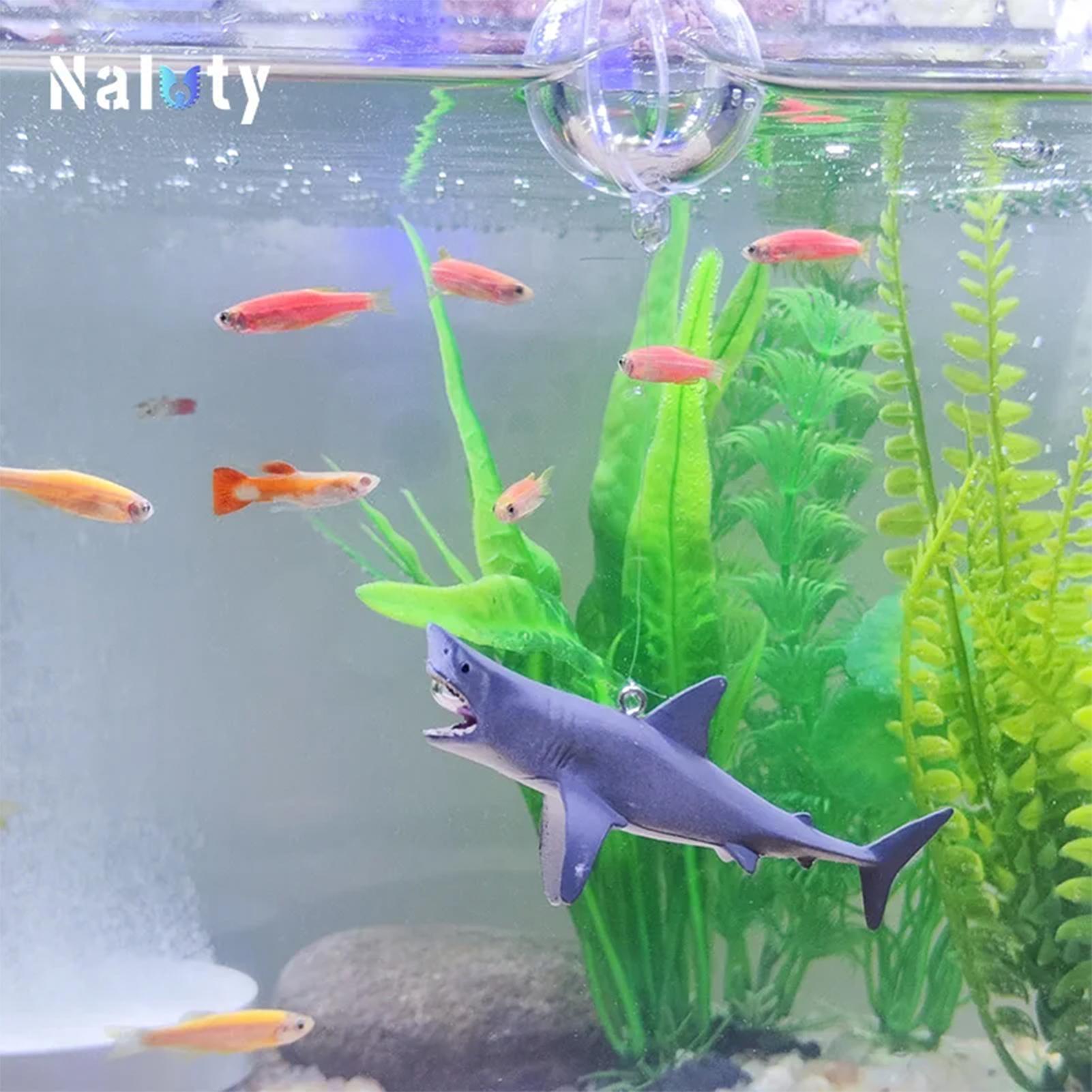 Floating Shark Aquarium Landsc - Aquarium Fish Escape ulasan dan harga