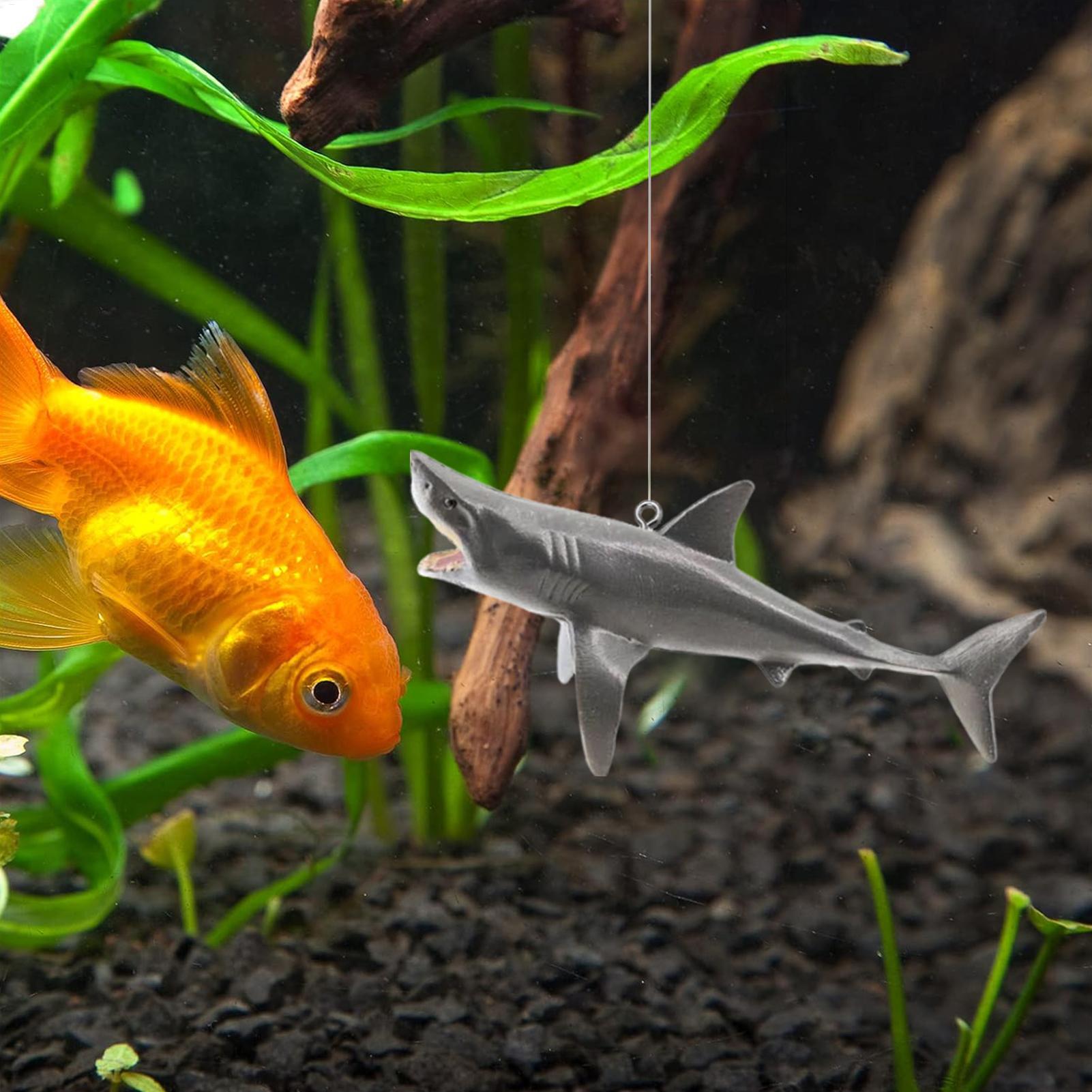 Floating Shark Aquarium Landsc - Aquarium Fish Escape ulasan dan harga