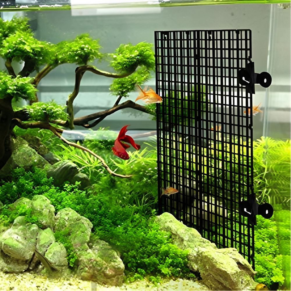 14pcs Black Plastic Aquarium G - Aquarium Fish Elevator ulasan dan harga