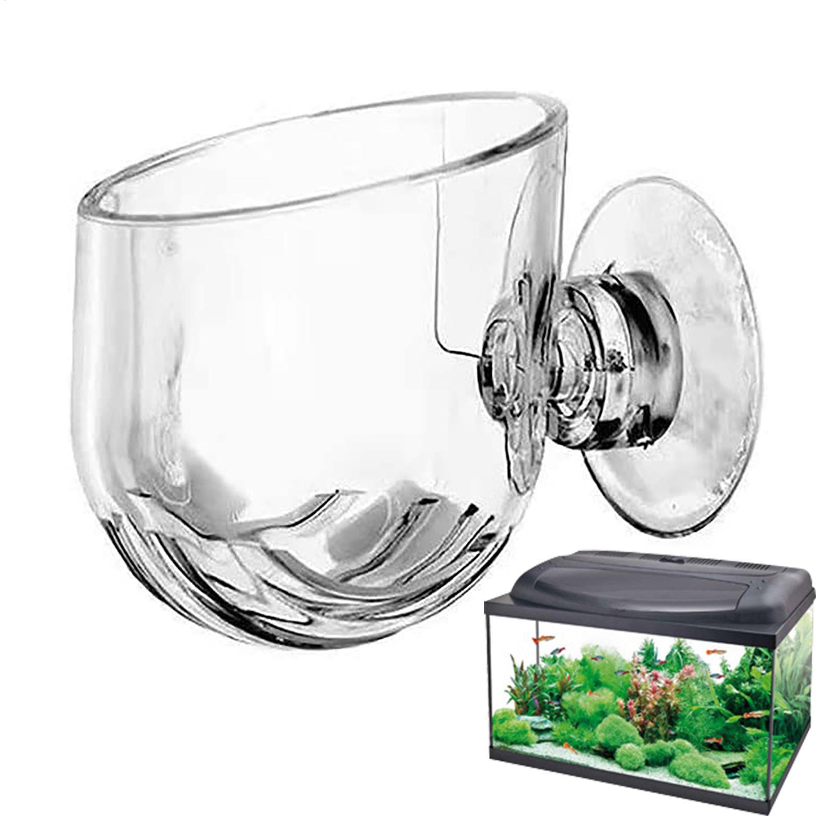 Suction Aquarium Plant Holder  - Aquarium Fish Beautiful ulasan dan harga