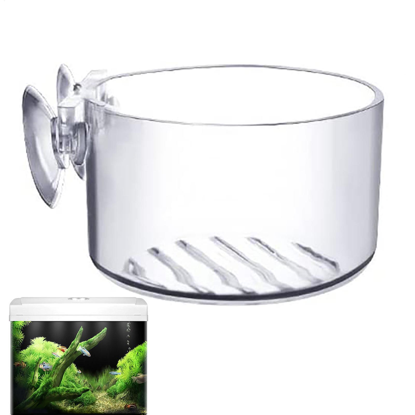 Suction Aquarium Plant Holder  - Aquarium Fish Beautiful ulasan dan harga