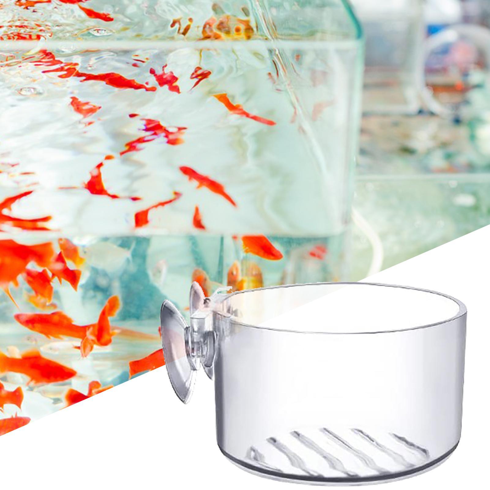Suction Aquarium Plant Holder  - Aquarium Fish Beautiful ulasan dan harga