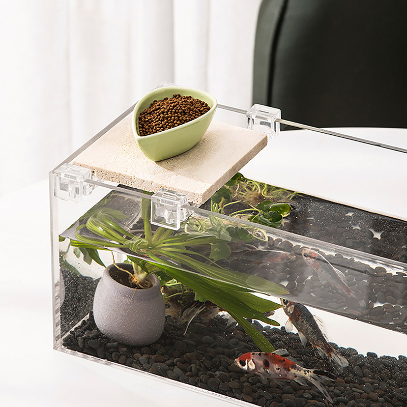 4pcs 6mm/8mm/10mm/12mm/15mm  F - Aquarium Fish Elevator ulasan dan harga