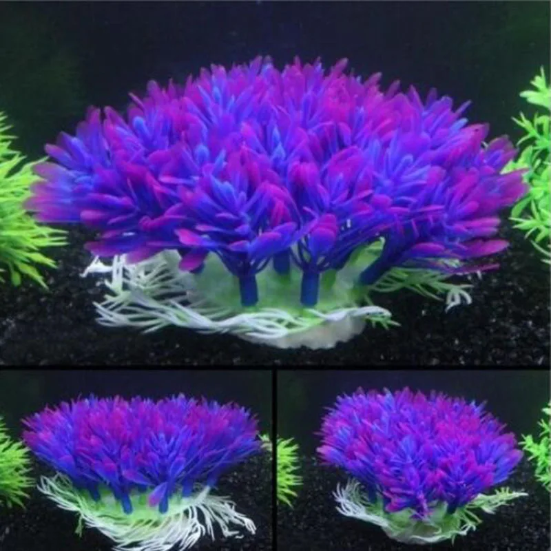 Artificial Wide Short Fish Tan - Aquarium Fish Beautiful ulasan dan harga