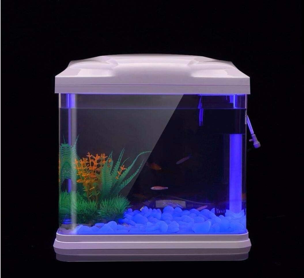Fish Tank Rocks Glow Blue Pebb - Aquarium Fish Types ulasan dan harga