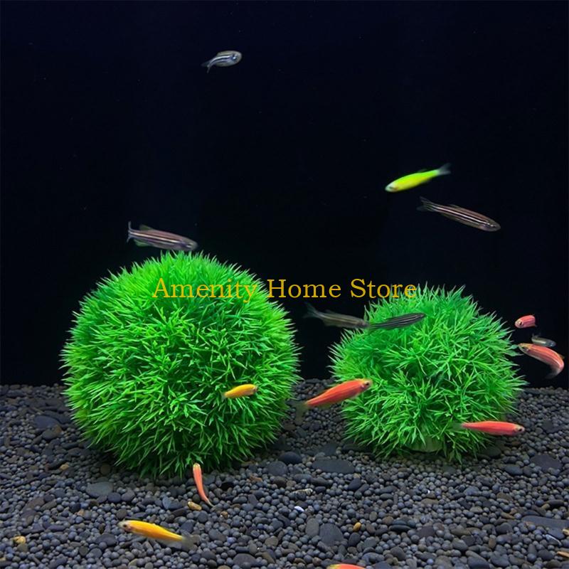 F26C Aquatic Plants Marimo for - Aquarium Fish Beautiful ulasan dan harga