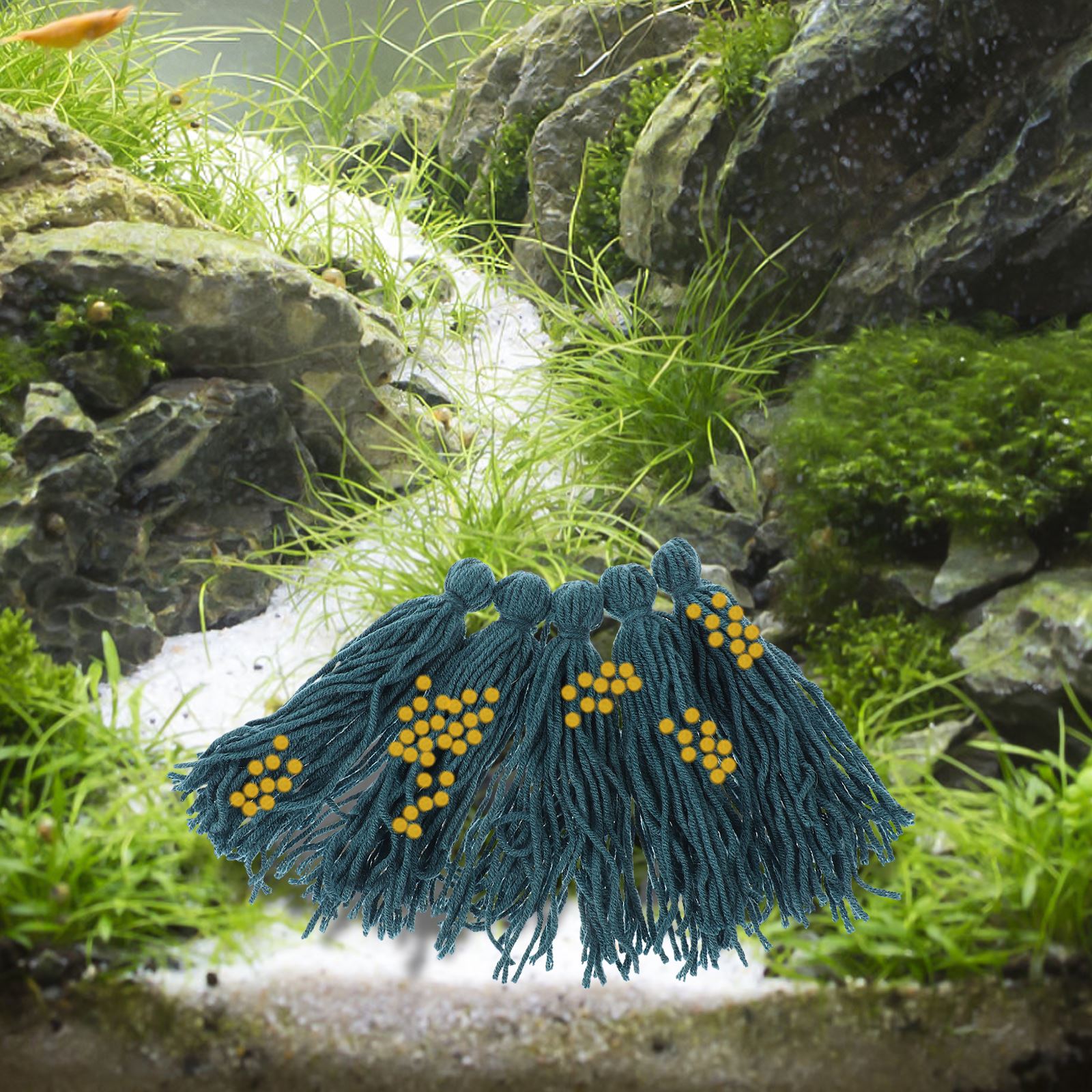 5Pcs Hatchery Spawning Mop Spa - Aquarium Fish For Beginners ulasan dan harga
