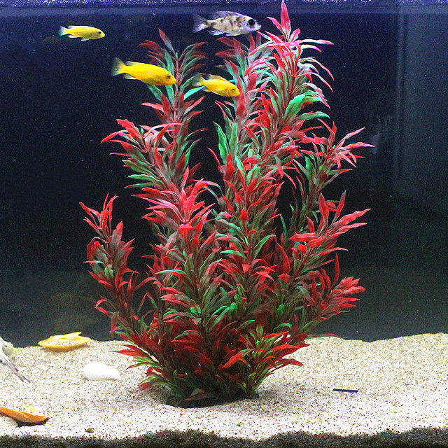 50CM Artificial Fish Tank Rare - Aquarium Fish Only ulasan dan harga