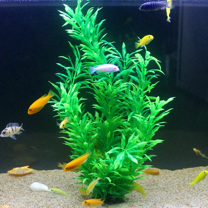 50CM Artificial Fish Tank Rare - Aquarium Fish Only ulasan dan harga