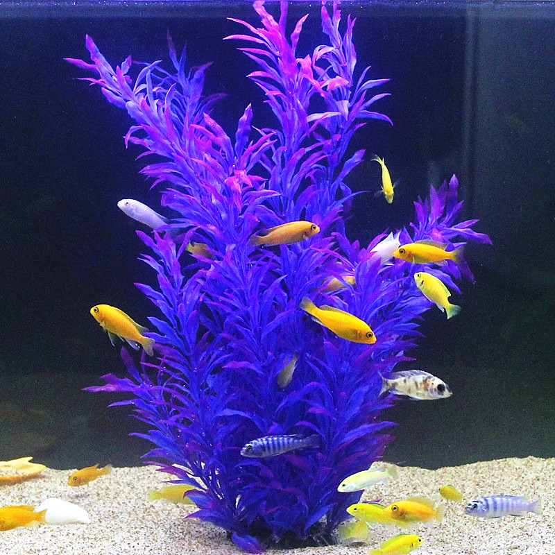 50CM Artificial Fish Tank Rare - Aquarium Fish Only ulasan dan harga