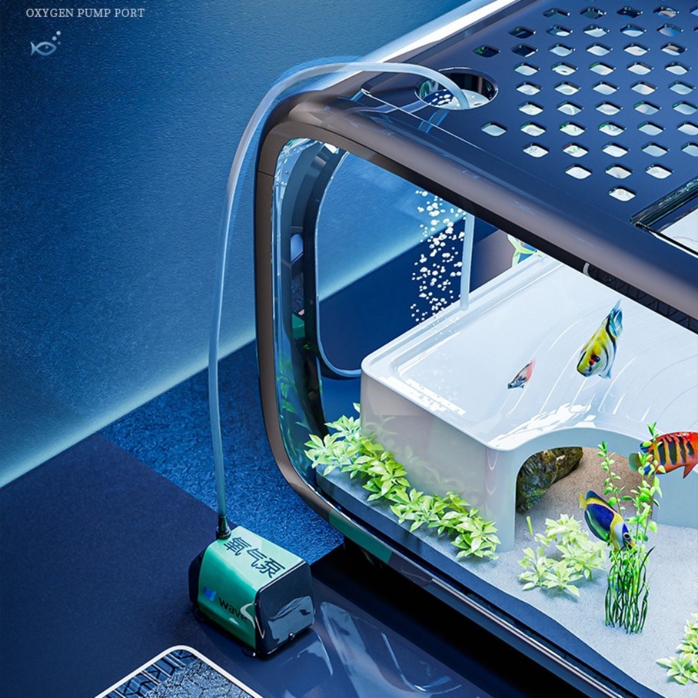 Transparent Luxury Fish Tank D - Aquarium Fish Goldfish ulasan dan harga