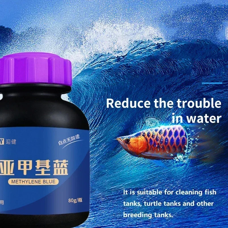 Methylene Blue Ornamental Fish - Aquarium Fish Parrot ulasan dan harga