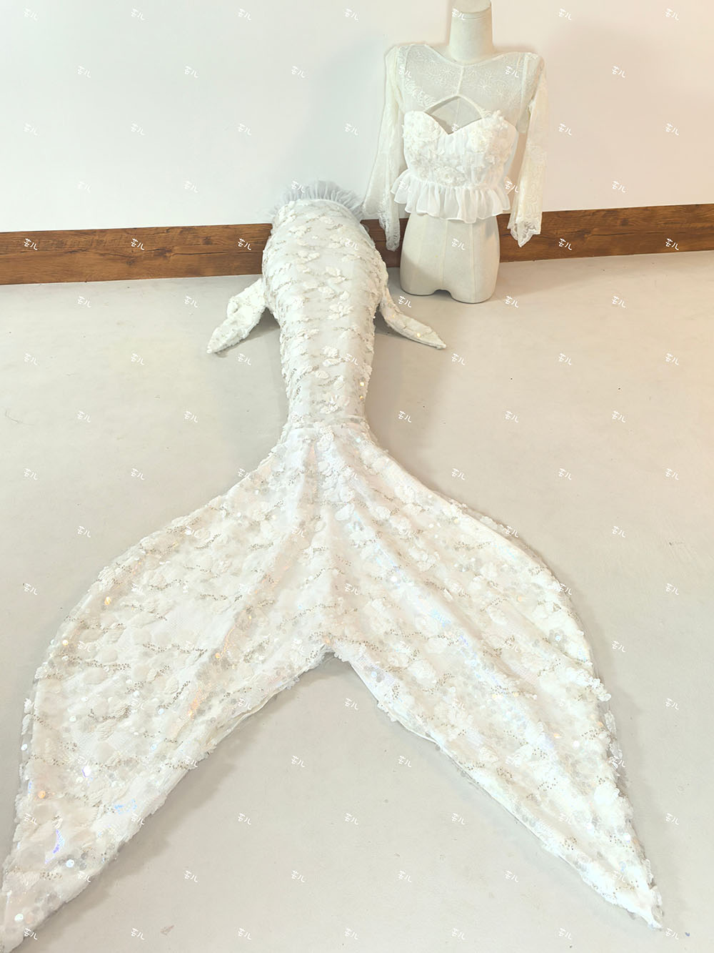 New Sequined Mermaid Big Tail  - Aquarium Fish Goldfish ulasan dan harga