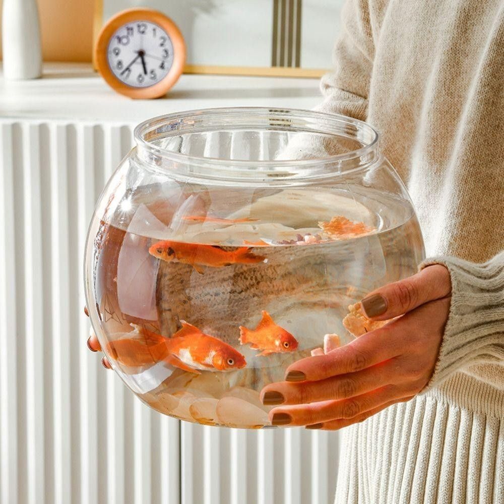 New Transparent Fish Tank Roun - Aquarium Fish For Beginners ulasan dan harga