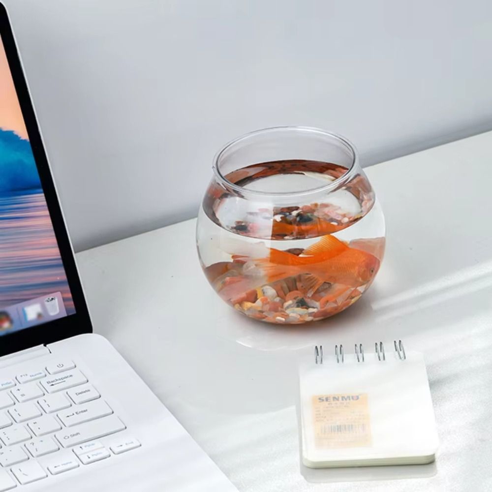 New Transparent Fish Tank Roun - Aquarium Fish For Beginners ulasan dan harga