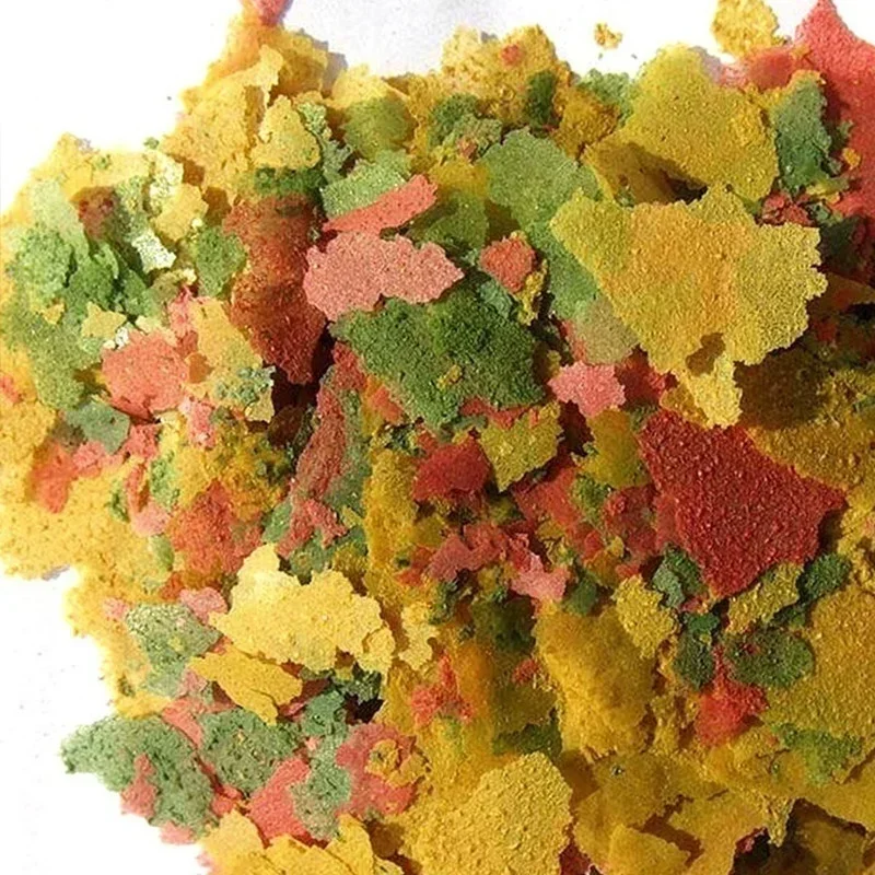 New 100g/pack Tropical Ornamen - Aquarium Fish For Beginners ulasan dan harga