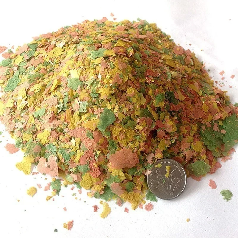 New 100g/pack Tropical Ornamen - Aquarium Fish For Beginners ulasan dan harga