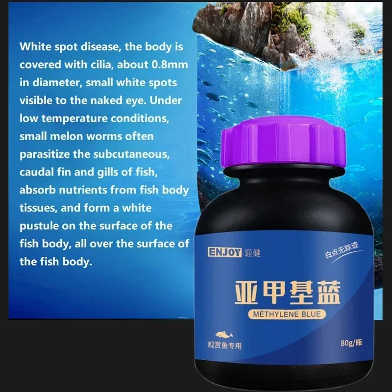Methylene Blue Ornamental Fish - Aquarium Fish Parrot ulasan dan harga