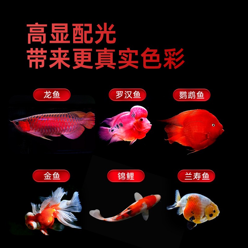 Waterproof Tri‑Color LED Aquar - Aquarium Fish Parrot ulasan dan harga