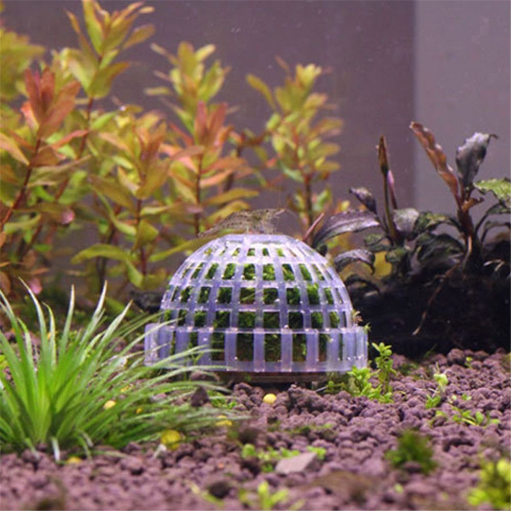 New Plastic Suspension Moss Do - Aquarium Fish Only ulasan dan harga