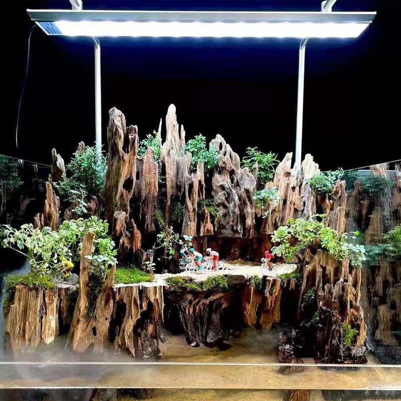 △ Shrimp Wood Aquarium Decor,  - Aquarium Fish Only ulasan dan harga