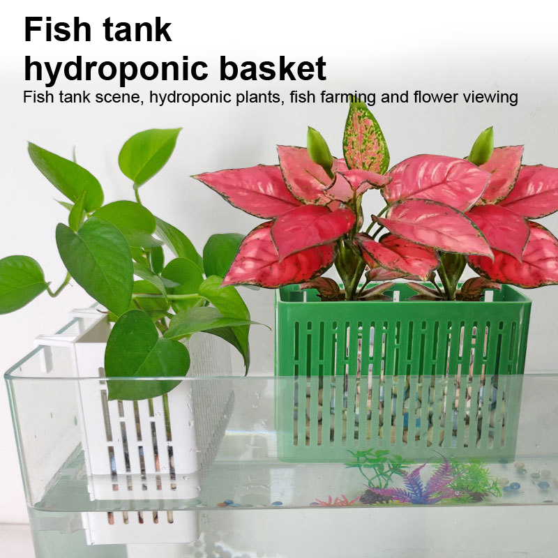 【F】Fish Tank Hanging Planter A - Aquarium Fish Types ulasan dan harga