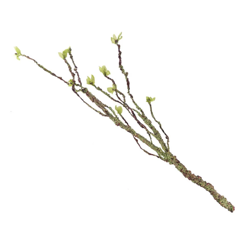Vines Decor Climbing Branches  - Aquarium Fish Only ulasan dan harga