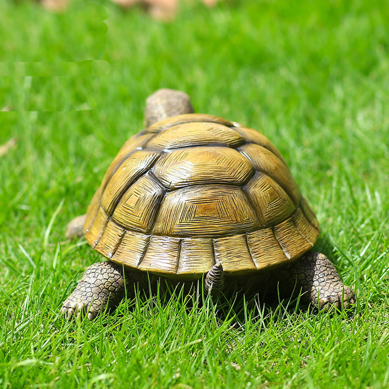 Cute Decorative Turtle Resin T - Aquarium Fish Types ulasan dan harga