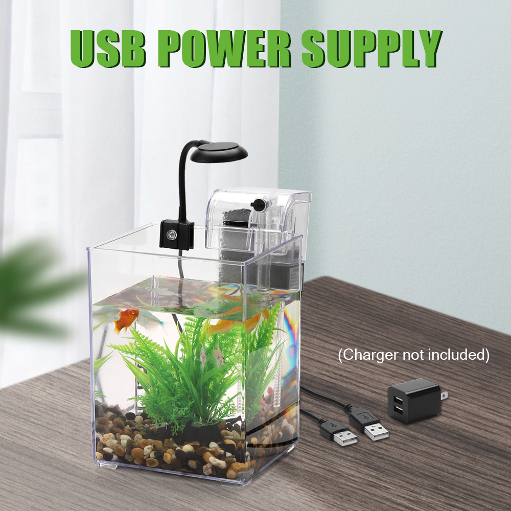 USB Desktop Fish Tank Set-Easy - Aquarium Fish For Beginners ulasan dan harga