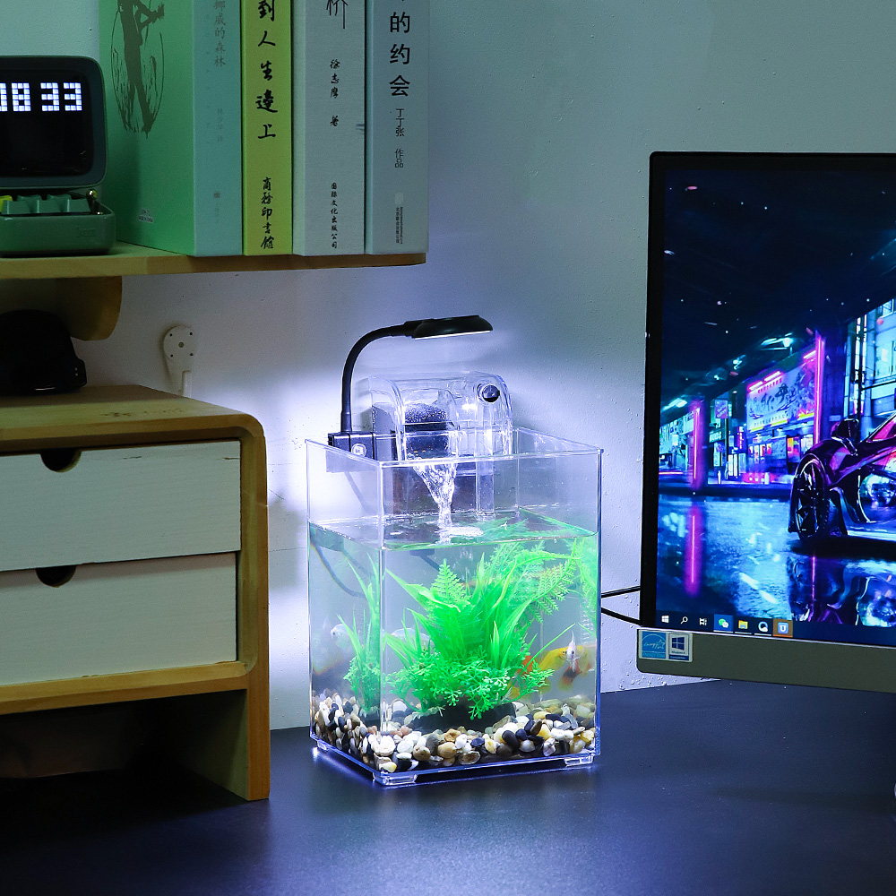 USB Desktop Fish Tank Set-Easy - Aquarium Fish For Beginners ulasan dan harga