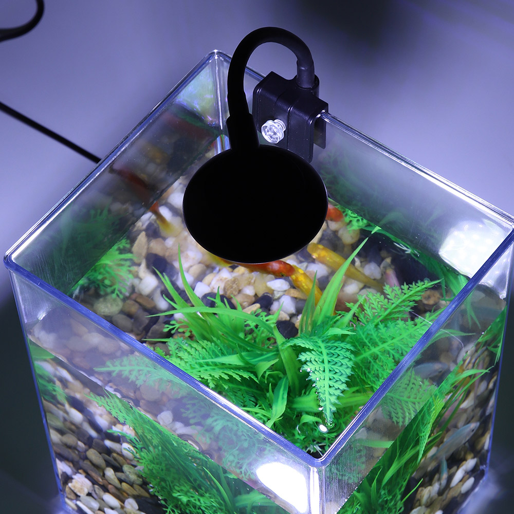 USB Desktop Fish Tank Set-Easy - Aquarium Fish For Beginners ulasan dan harga